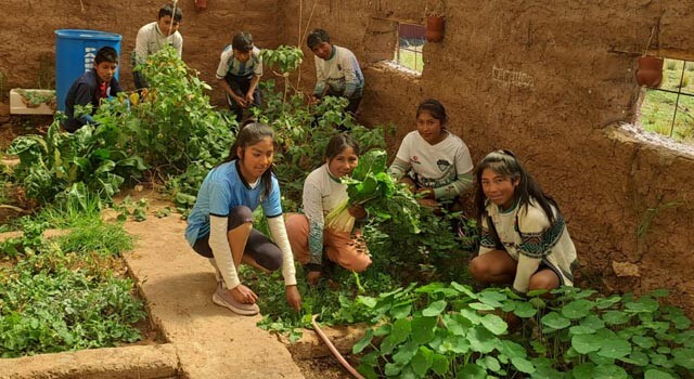 PERU_SAN_ BIOHUERTO.jpg